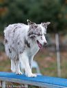 20131026-neat-0590