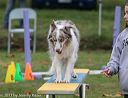20131026-neat-0592