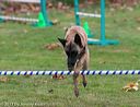 20131026-neat-0595