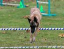 20131026-neat-0596