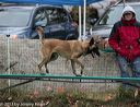 20131026-neat-0600
