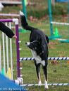 20131026-neat-0601