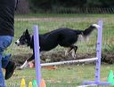 20131026-neat-0603