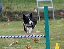 20131026-neat-0605