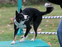 20131026-neat-0607