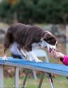 20131026-neat-0616