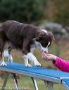 20131026-neat-0618
