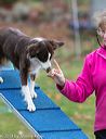 20131026-neat-0621