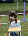 20131026-neat-0622