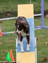20131026-neat-0624