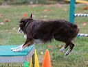 20131026-neat-0625