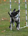 20131026-neat-0627