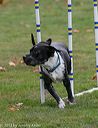 20131026-neat-0628