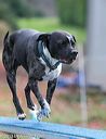 20131026-neat-0630