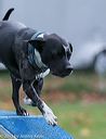 20131026-neat-0632