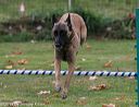 20131026-neat-0639