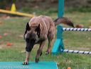 20131026-neat-0640