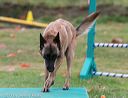 20131026-neat-0641