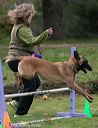 20131026-neat-0644