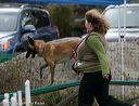 20131026-neat-0648