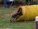 20131026-neat-0651