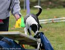 20131026-neat-0653