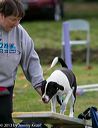 20131026-neat-0655