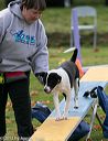 20131026-neat-0656