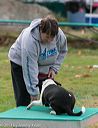 20131026-neat-0659