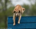 20140517-0099