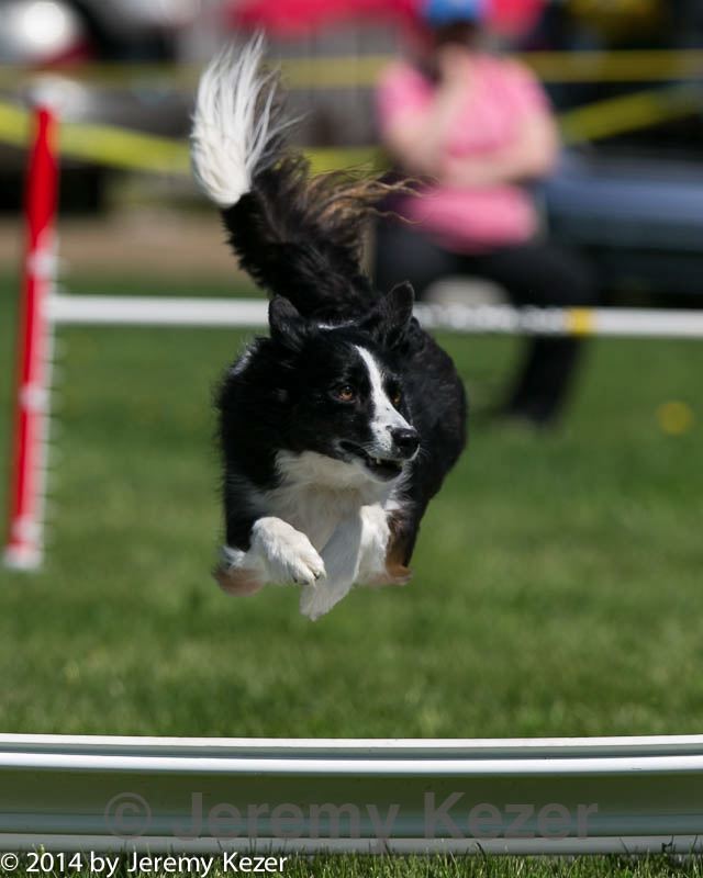 20140517-1238.jpg