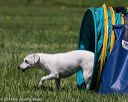 20140517-0876