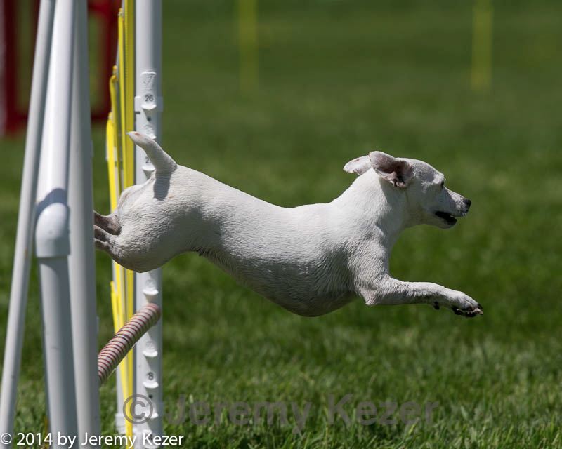 20140517-0878.jpg