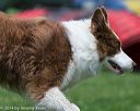 20140517-0918