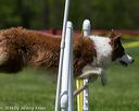 20140517-0926