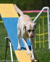 20140517-1023