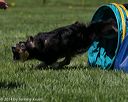 20140517-1075