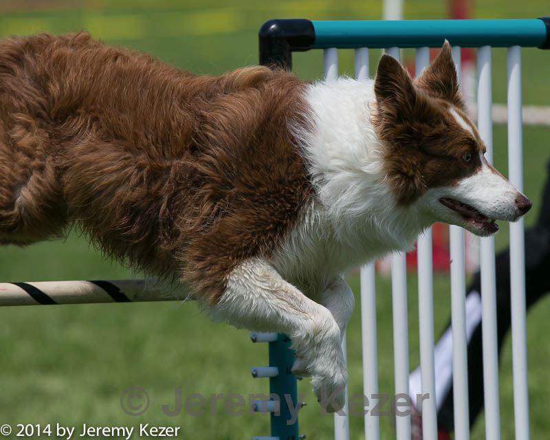 20140517-0914.jpg