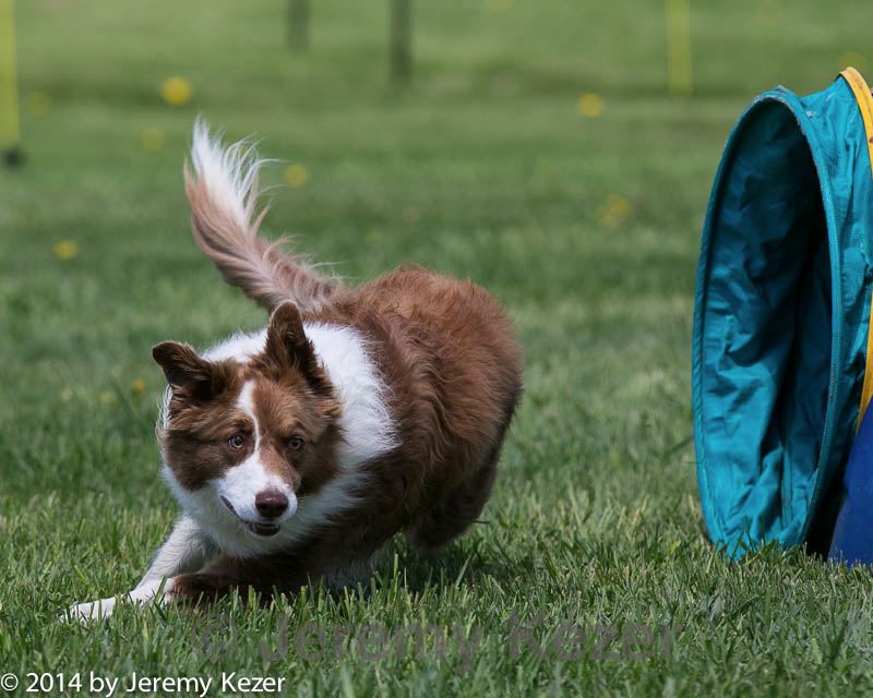20140517-0916.jpg