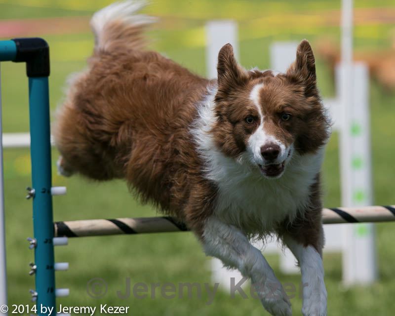 20140517-0921.jpg