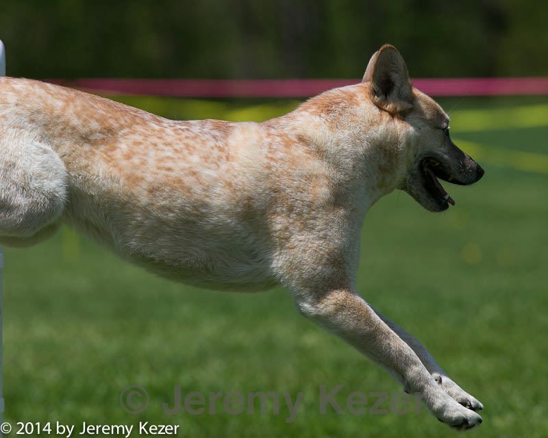 20140517-0943.jpg
