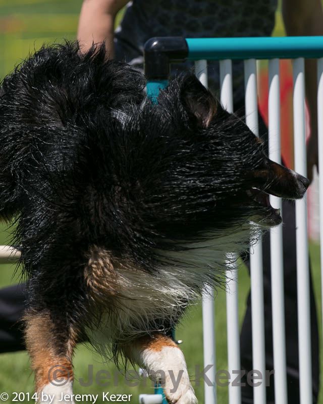 20140517-0980.jpg