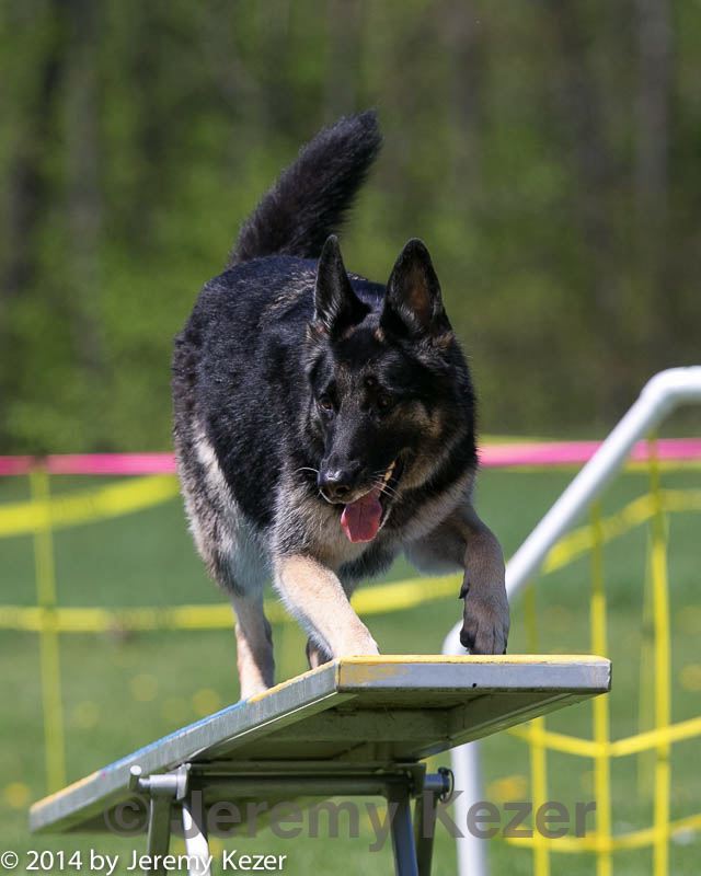 20140517-1097.jpg