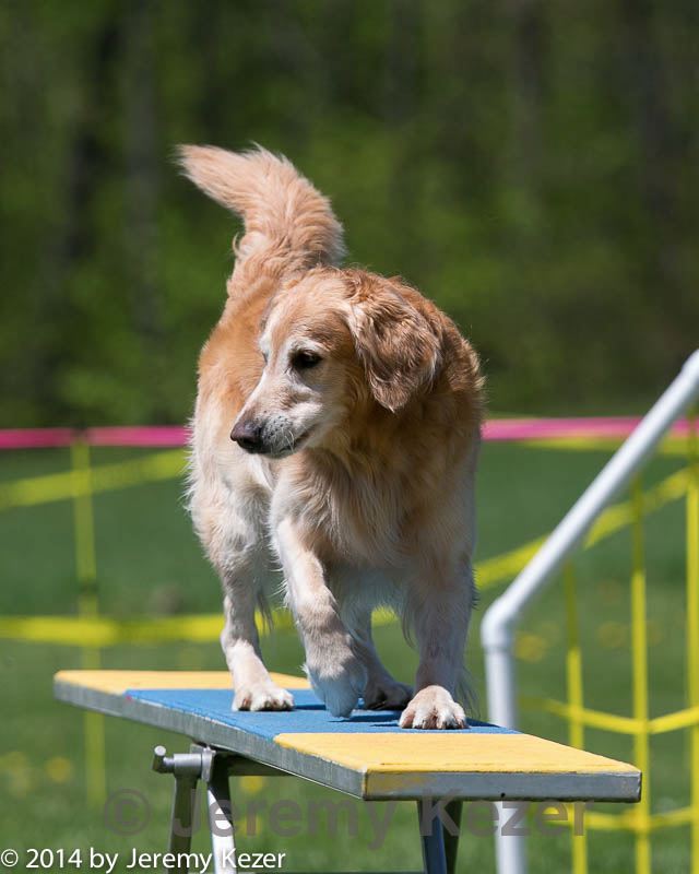 20140517-1122.jpg