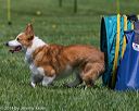 20140517-0698