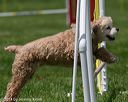 20140517-0710