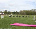 20140517-co-0035