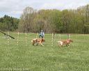 20140517-co-0043