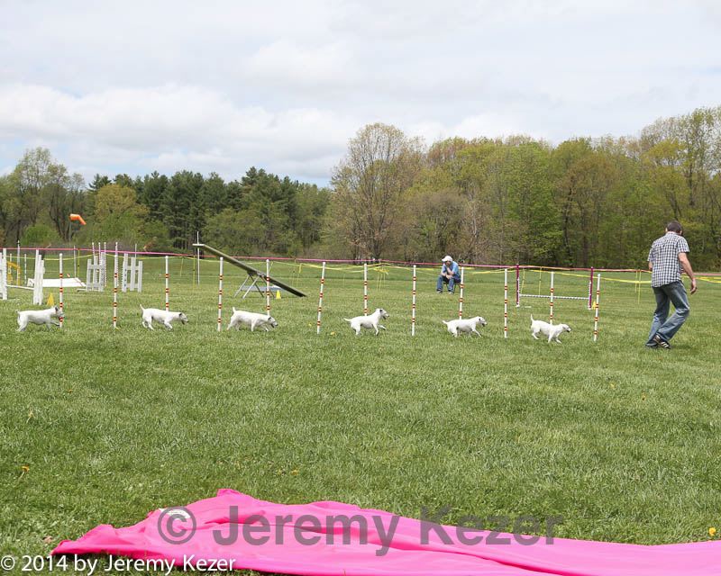 20140517-co-0037.jpg