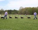 20140517-co-0011